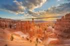 Thors Hammer at sunrise Bryce Canyon National Park, Utah Art Print